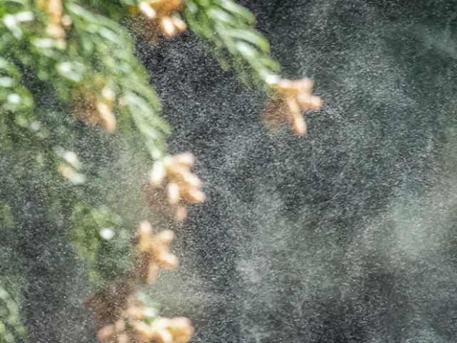 2307_Aktuelles_Nevoox